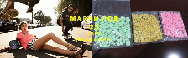 ПСИЛОЦИБИНОВЫЕ ГРИБЫ Алексин